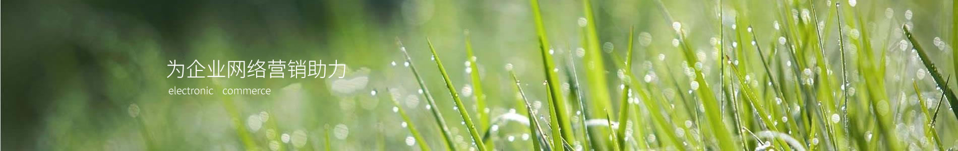 İܿƼ޹˾